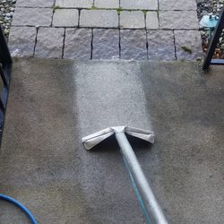 Contemporary Carpet Cleaning - Cleaning an outdoor porch carpet. Carpet had moss and mold growing on it from being exposed to outside elements. Results can vary.