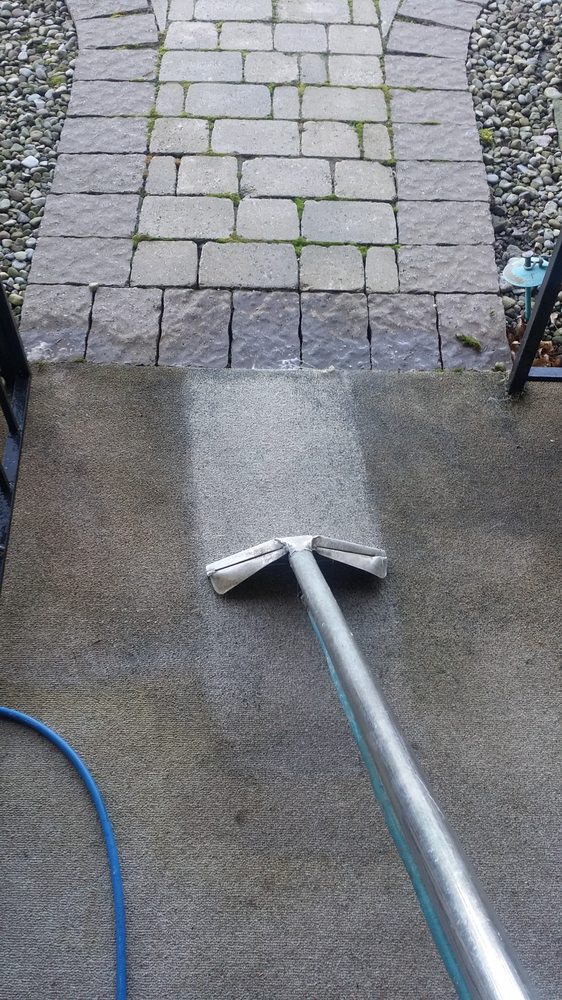 CONTEMPORARY CARPET CLEANING Updated September 2024 46 Photos & 10