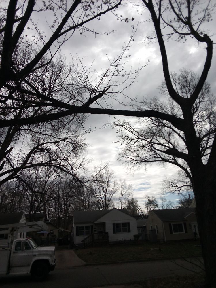 Champion Tree Care - tree service in Topeka, KS