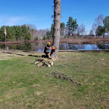 Lata Tree Service - Tree fell and removal - Tree Services Near Me - Mancelona, Michigan