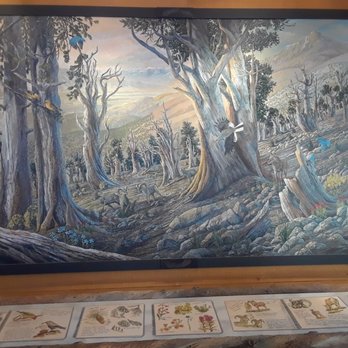 Ancient Bristlecone Pine Forest - Lobby Art - Parks Near Me - Bishop, California Ancient Bristlecone Pine Forest - Lobby Art - Parks Near Me - Bishop, California