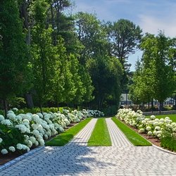 Gardens By Barbara Conolly - A driveway design to make you love coming home.