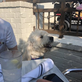 Scout's Pub - Dogs allowed on patio - Burgers Near Me - Franklin, Tennessee Scout's Pub - Dogs allowed on patio - Burgers Near Me - Franklin, Tennessee