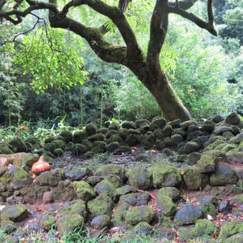 The Kaniakapupu Ruins - Access Restricted - Landmarks & Historical Buildings Near Me - Honolulu, Hawaii