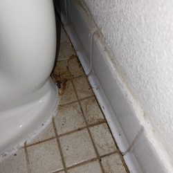 Motel 6