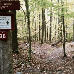 Pine Hill Park