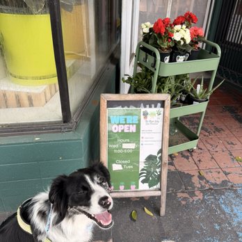 Expert Pet - Pet Stores Near Me - San Francisco, California