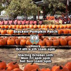 Bracken Pumpkin Patch