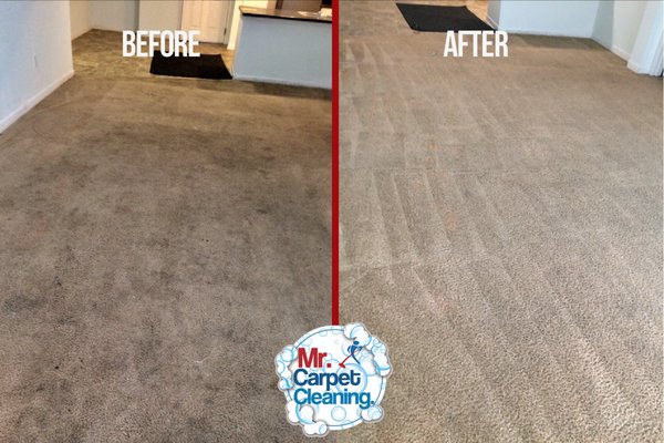See our before and after photos! We specialize in deep cleaning! - Pictures are worth 1000 words! See our before and after photos of some of our work. Call or message us to get the job done right!
