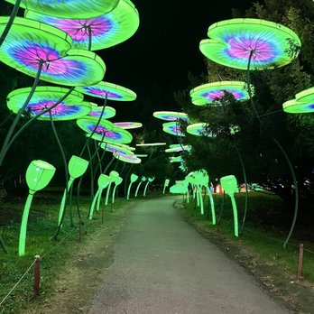 China Lights Wisconsin - Lilly pad lights - Festivals Near Me - Hales Corners, Wisconsin China Lights Wisconsin - Lilly pad lights - Festivals Near Me - Hales Corners, Wisconsin