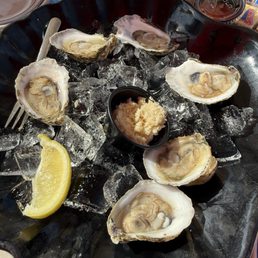 Oysters