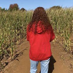 Maple Lane Farms & Corn Maze