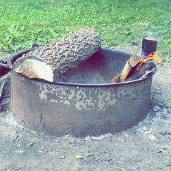 Thomas Mitchell Park - Fire pit at tent site T9