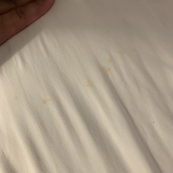 Pacifica Beach Hotel - Beyond disgusting bedding and filthy room, filthy hallways, carpets. - Hotels Near Me - Pacifica, California