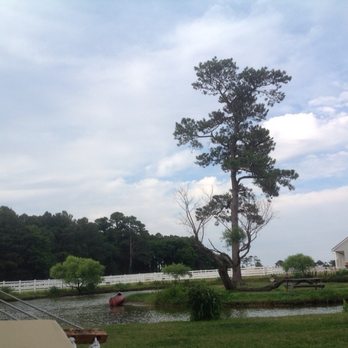 Fair Winds Farms - Horseback Riding Near Me - Virginia Beach, Virginia