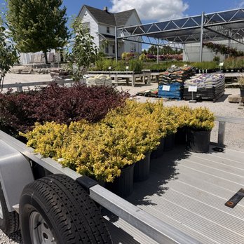 Breezy Hill Nursery - Menomonee Falls - Nurseries & Gardening Near Me - Menomonee Falls, Wisconsin Breezy Hill Nursery - Menomonee Falls - Nurseries & Gardening Near Me - Menomonee Falls, Wisconsin