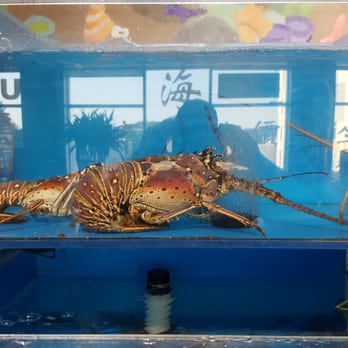 Fish VIllage - Seafood Near Me - Queens, New York