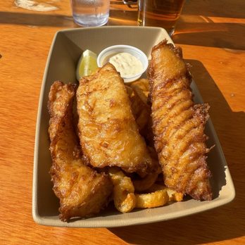 Denali Brewpub - Fish and Curly Fries. - New American Near Me - Talkeetna, Alaska