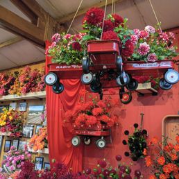 2026 flower room 2026 flower room