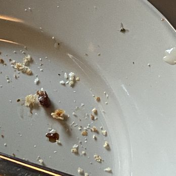 Mama Mia's - Found A Bug In My Drink - Italian Near Me - Gilroy, California