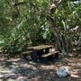 Old Settler’s Park