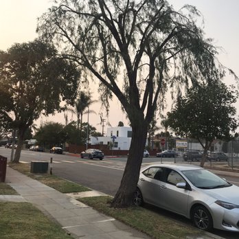 Higuera's Tree Service - After - Tree Services Near Me - Lemon Grove, California Higuera's Tree Service - After - Tree Services Near Me - Lemon Grove, California