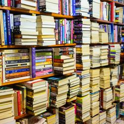 The Book Haven