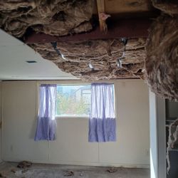 Before drywall was up