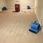 A Affordable Carpet & Upholstery Cleaning