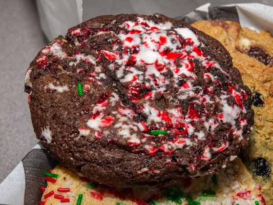 You're a Cookie! by null