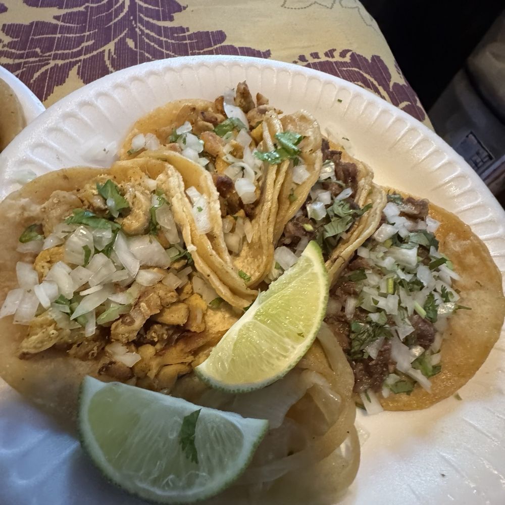 Andy’s Taco Truck - The view of my Taco plate - Food Trucks Near Me - Westminster, California