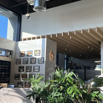 Yann Couvreur Cafè - Cafes Near Me - Miami, Florida Yann Couvreur Cafè - Cafes Near Me - Miami, Florida