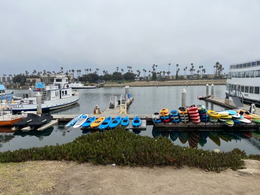 Channel Islands Kayak Center by null