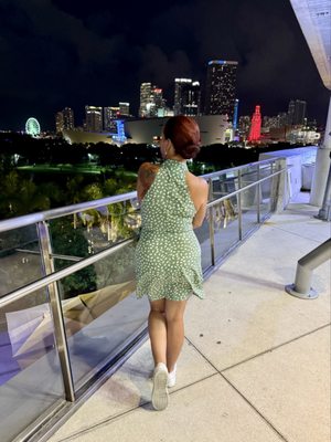 Patricia and Phillip Frost Art Museum by null