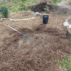 Soil & Sod Depot - Local Mulch