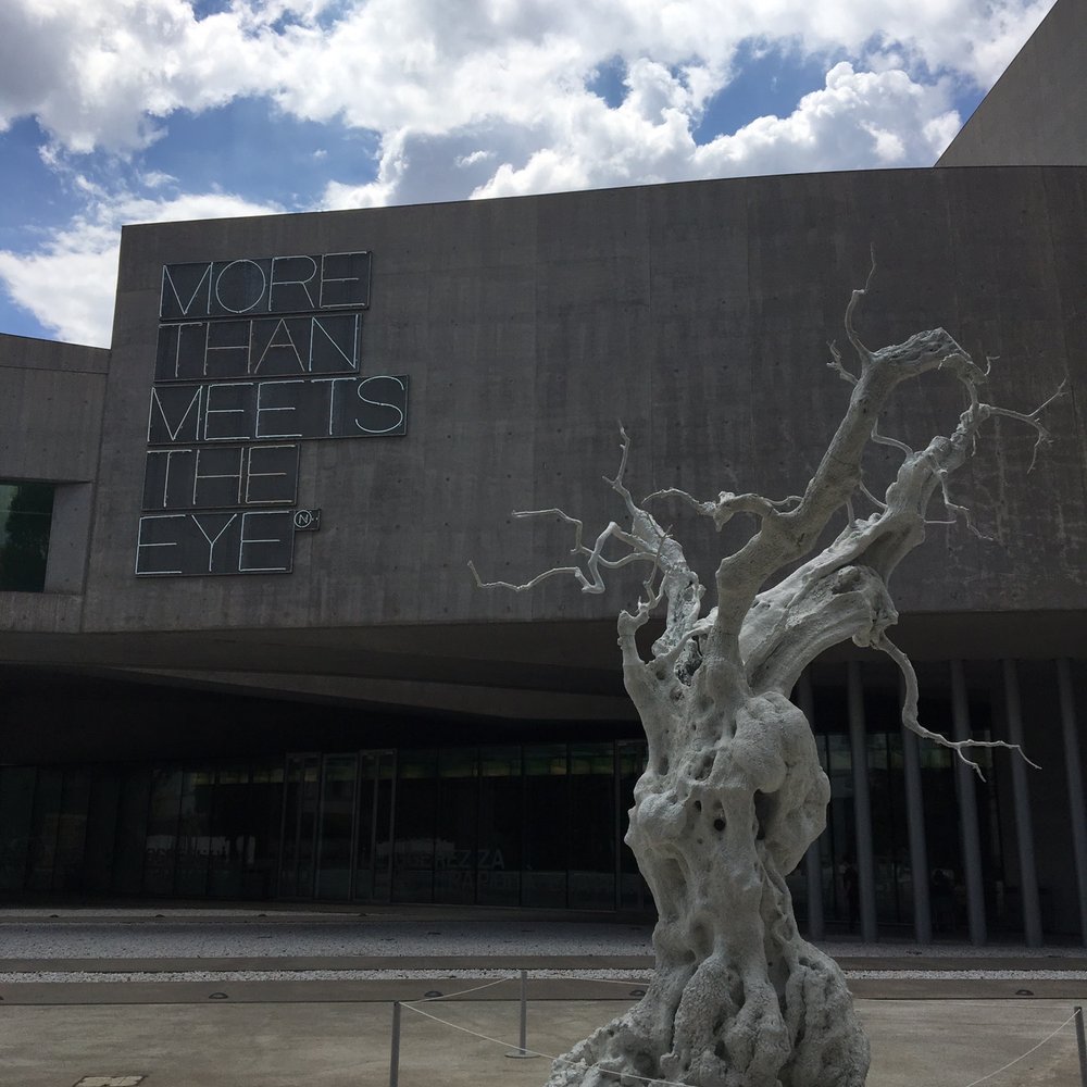 MAXXI - Museums Near Me - Rome, RM