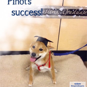 PetSmart - After 6 weeks of training he got his little puppy diploma. Thanks Petsmart! - Pet Stores Near Me - Moore, Oklahoma