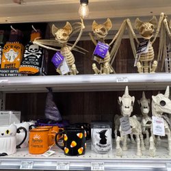 Junction Ace Hardware - Halloween decor, inflatables, lights, and more