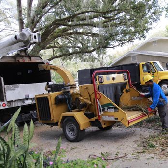 Mid-Florida Tree Service - Tree Services Near Me - Thonotosassa, Florida Mid-Florida Tree Service - Tree Services Near Me - Thonotosassa, Florida