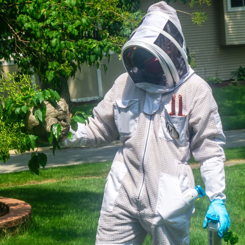Kaptar Environmental Pest Control Services - Naperville - Problem removed! - Pest Control Near Me - Naperville, Illinois Kaptar Environmental Pest Control Services - Naperville - Problem removed! - Pest Control Near Me - Naperville, Illinois