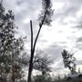 Photo of Arbortec Tree Solutions
