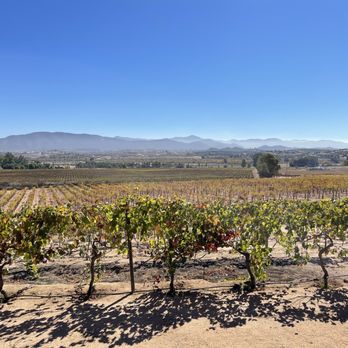 Villa Montefiori - Wine Tasting Room Near Me - Ensenada, BCN Villa Montefiori - Wine Tasting Room Near Me - Ensenada, BCN