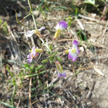 Elyria Canyon Park - Hiking Near Me - Los Angeles, California Elyria Canyon Park - Hiking Near Me - Los Angeles, California