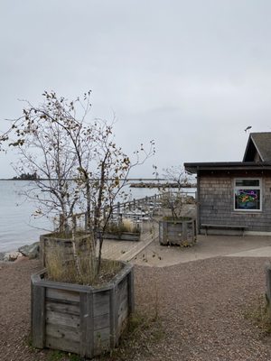 Angry Trout Cafe by null