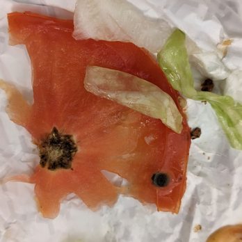 Quickie’s Burgers, Wings & Seafood - Moldy tomato that I found in the burger - Burgers Near Me - Dania Beach, Florida Quickie’s Burgers, Wings & Seafood - Moldy tomato that I found in the burger - Burgers Near Me - Dania Beach, Florida