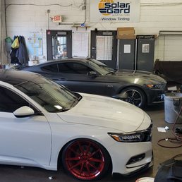 My Mustang after being tinted yesterday, 3-23-19. Amazing work! My Mustang after being tinted yesterday, 3-23-19. Amazing work!