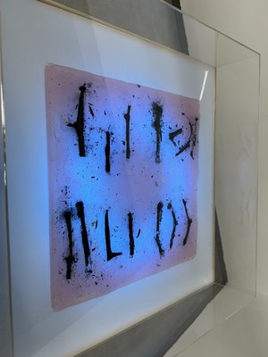 California State University Long Beach by null