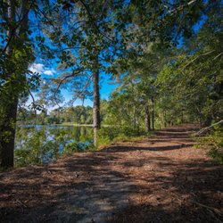 Bass Lake Campground
