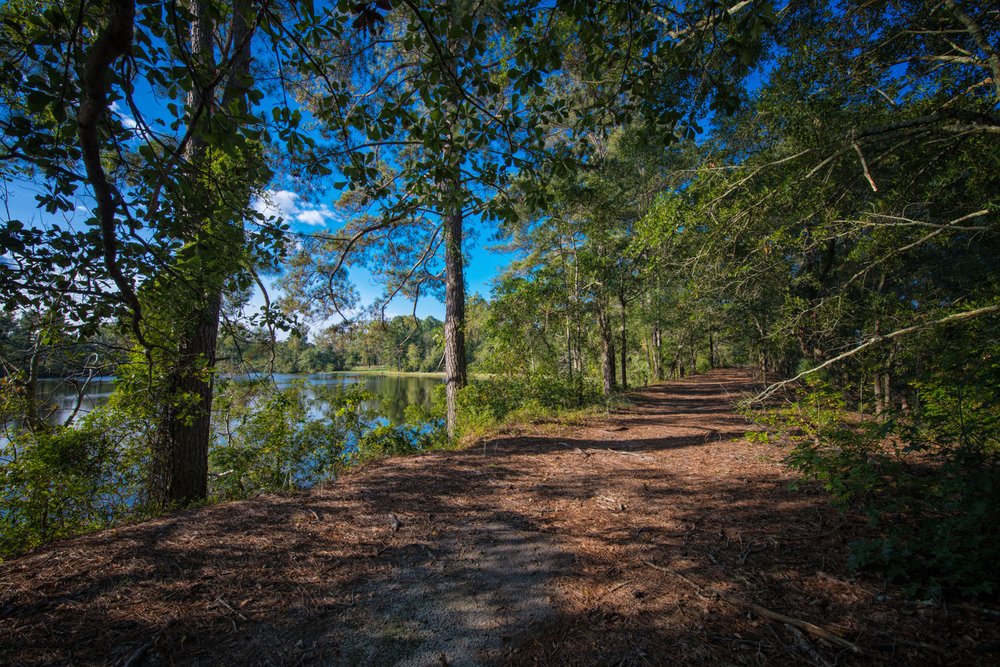 Social spots from Bass Lake Campground