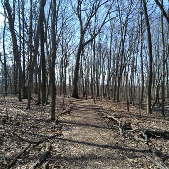 Tarpy Woods Park - Trail that someone nicely covered with wood mulch - Parks Near Me - Columbus, Ohio Tarpy Woods Park - Trail that someone nicely covered with wood mulch - Parks Near Me - Columbus, Ohio